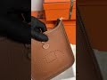 brown and white color mini size Hermes Evelyne, Which color do you like it