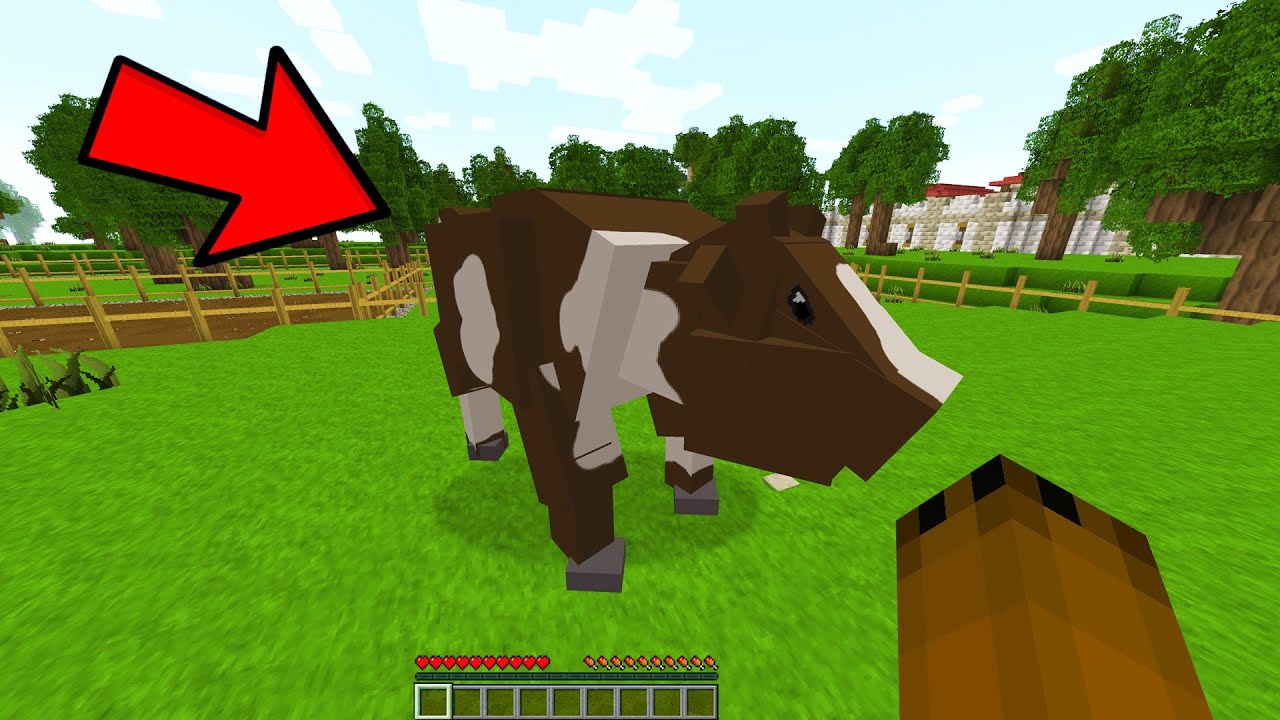 Minecraft but it's 5D...