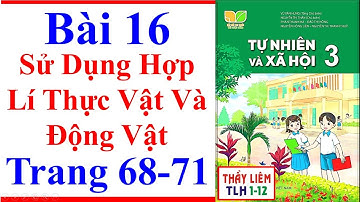 Tự Nhiên Xã Hội 3 Bài 16 | Sử Dụng Hợp Lí Thực Vật Và Động Vật | Trang 68 - 71 | Kết Nối Tri Thức