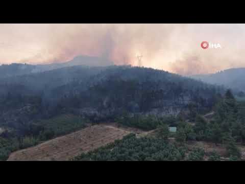 Bursa'daki yangının acı boyutu g&uuml;n ağarınca ortaya &ccedil;ıktı