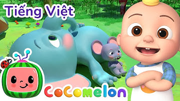 Bài Hát Nấc Cục | Bài hát dành cho trẻ em | CoComelon Lồng tiếng việt - Karaoke dành cho trẻ em
