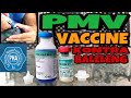 PMV VACCINE CLONE 30 | KONTRA BALELENG | RACING PIGEON | XMAKINA OFFICIAL