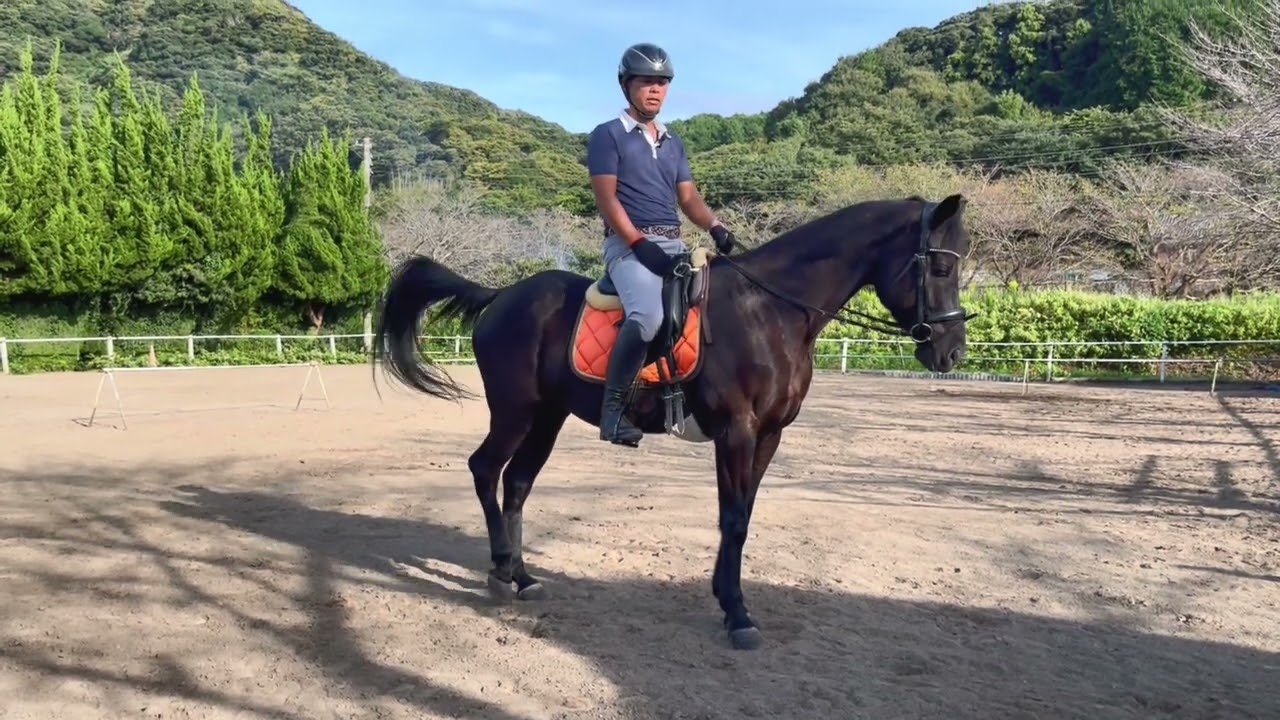 センタードライディングインストラクターによる乗馬上達のヒント12 脚