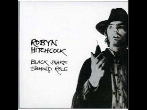 Robyn Hitchcock - The lizard