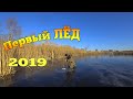 Первый лед 2019-2020 ❄️ рыбалка на жерлицы