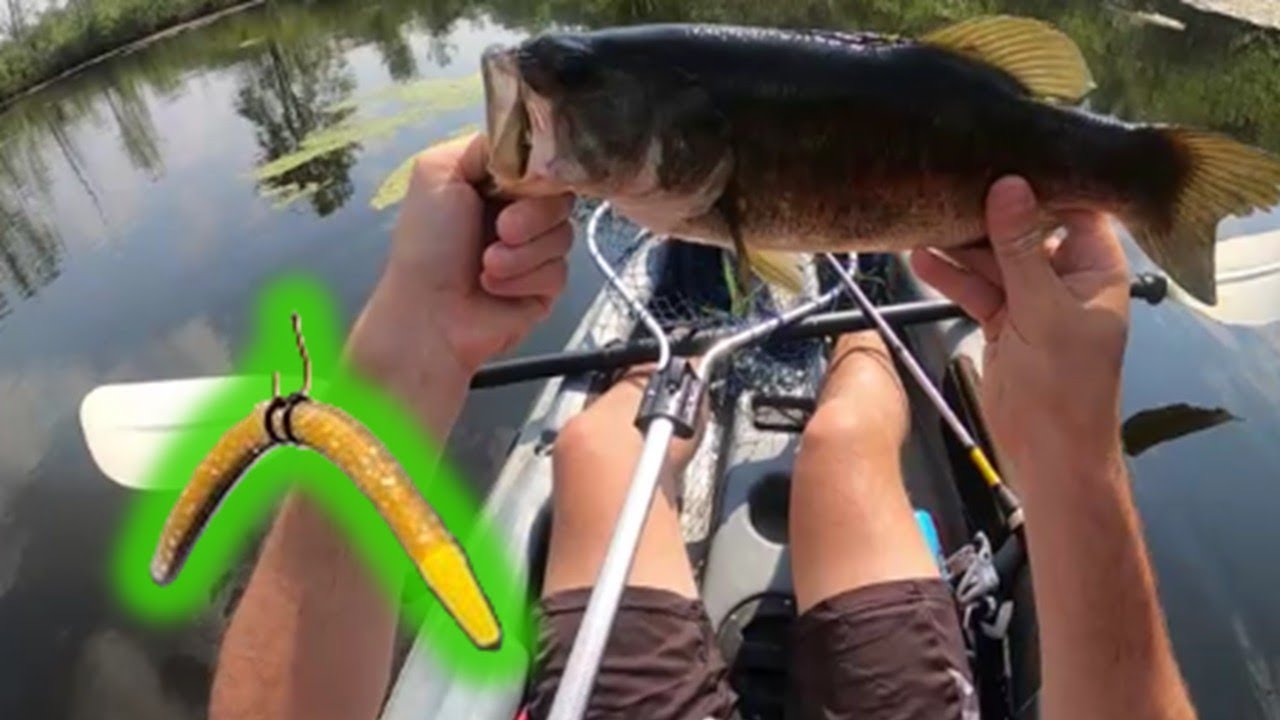 Wacky Rigging Small Ponds for Big Bass!