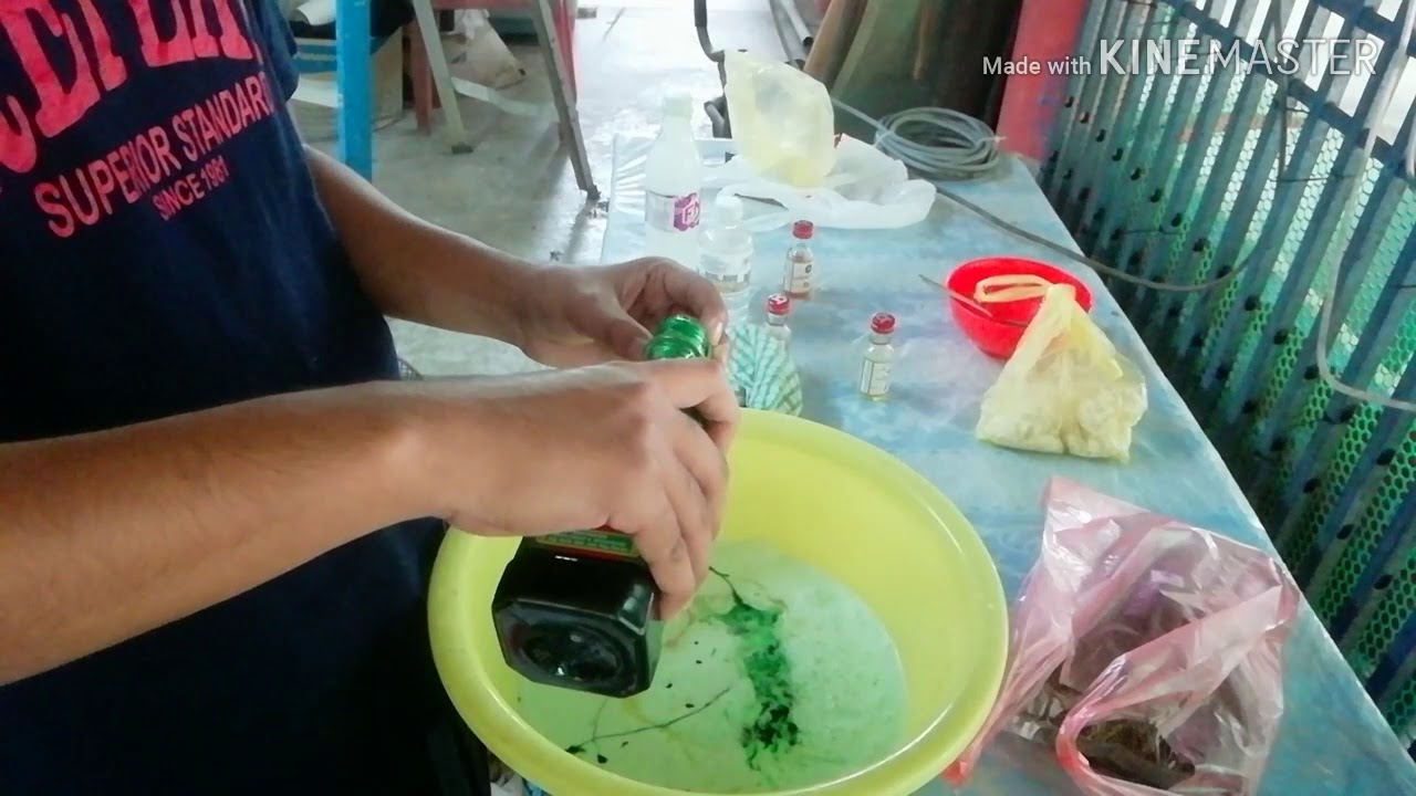 Umpan Peram Pandan Nikmat Pallet 920 Patin