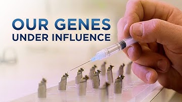 Can Humans Overrun Their Genetic Programming - Our Genes Under Influence | Documentary Trailer