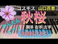 【ピアノ初心者】秋桜 (コスモス)【簡単ピアノ】
