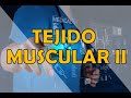 TEJIDO MUSCULAR II - Fenómeno de contracción muscular