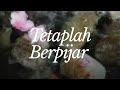 Pendarra  tetaplah berpijar official lyric