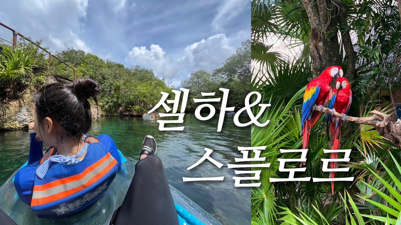 칸쿤 셀하 & 스플로르🐬 테마파크 덕후로서 제 점수는요💯