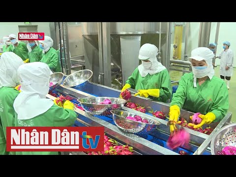 Video Kinh tế Việt Nam có thể đạt 6,76%/năm - youtube