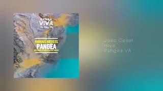 Joao Ceser - Hive