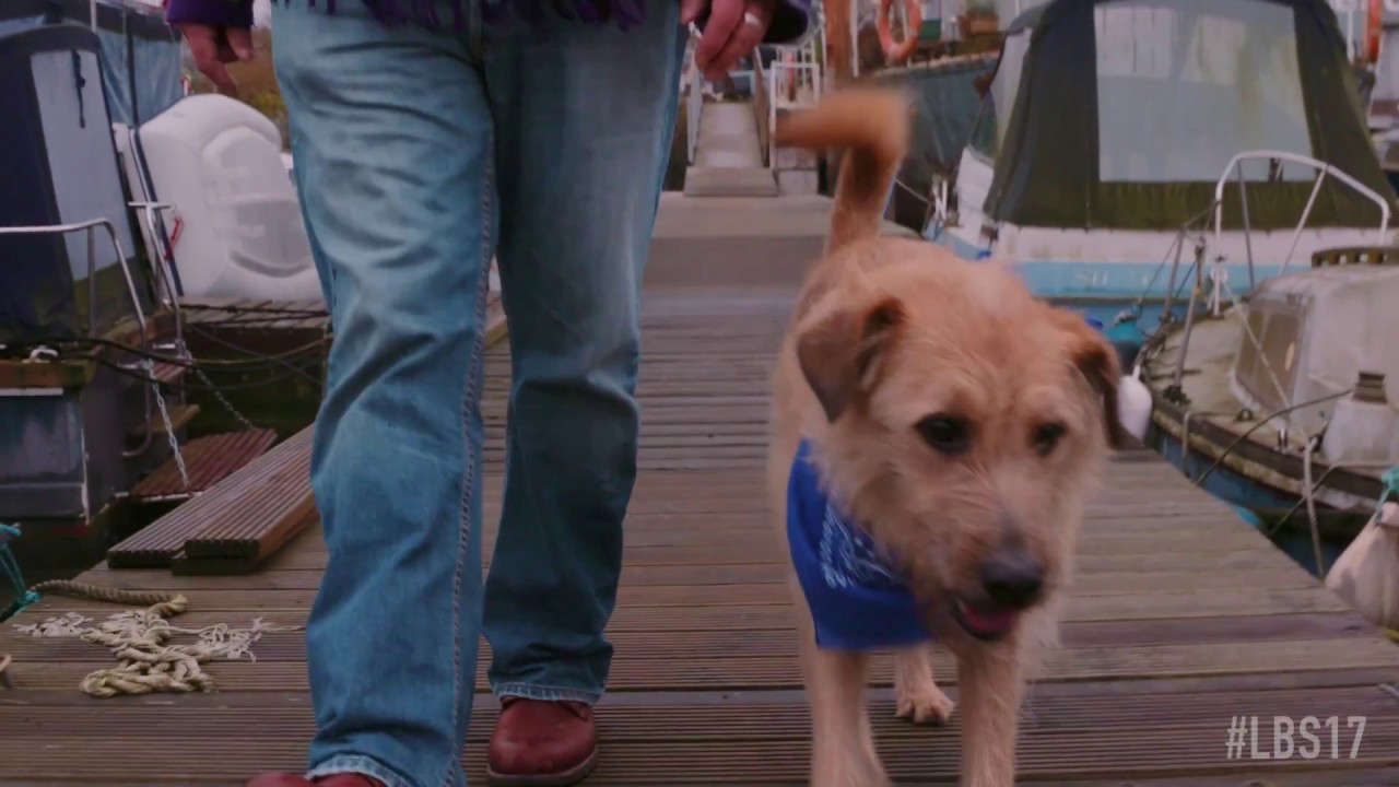 A Sailor's Best Friend - London Boat Show 2017