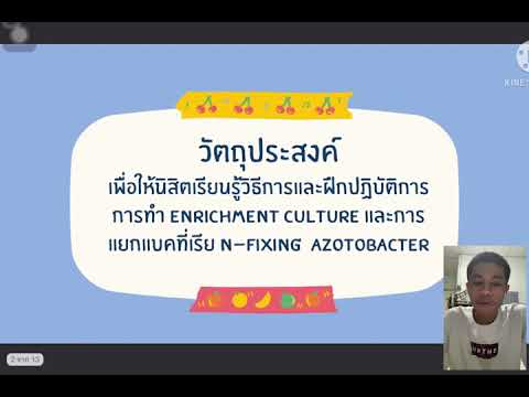 ผลสลากกินแบ่งรัฐบาล วันที่ 1 พย. 2567