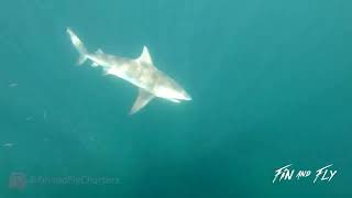 Best Florida Fishing Charter Types