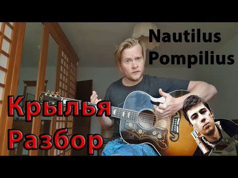 Видеоурок наутилус крылья