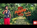 Pushpa 2 review