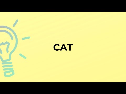 What is the meaning of the word CAT?