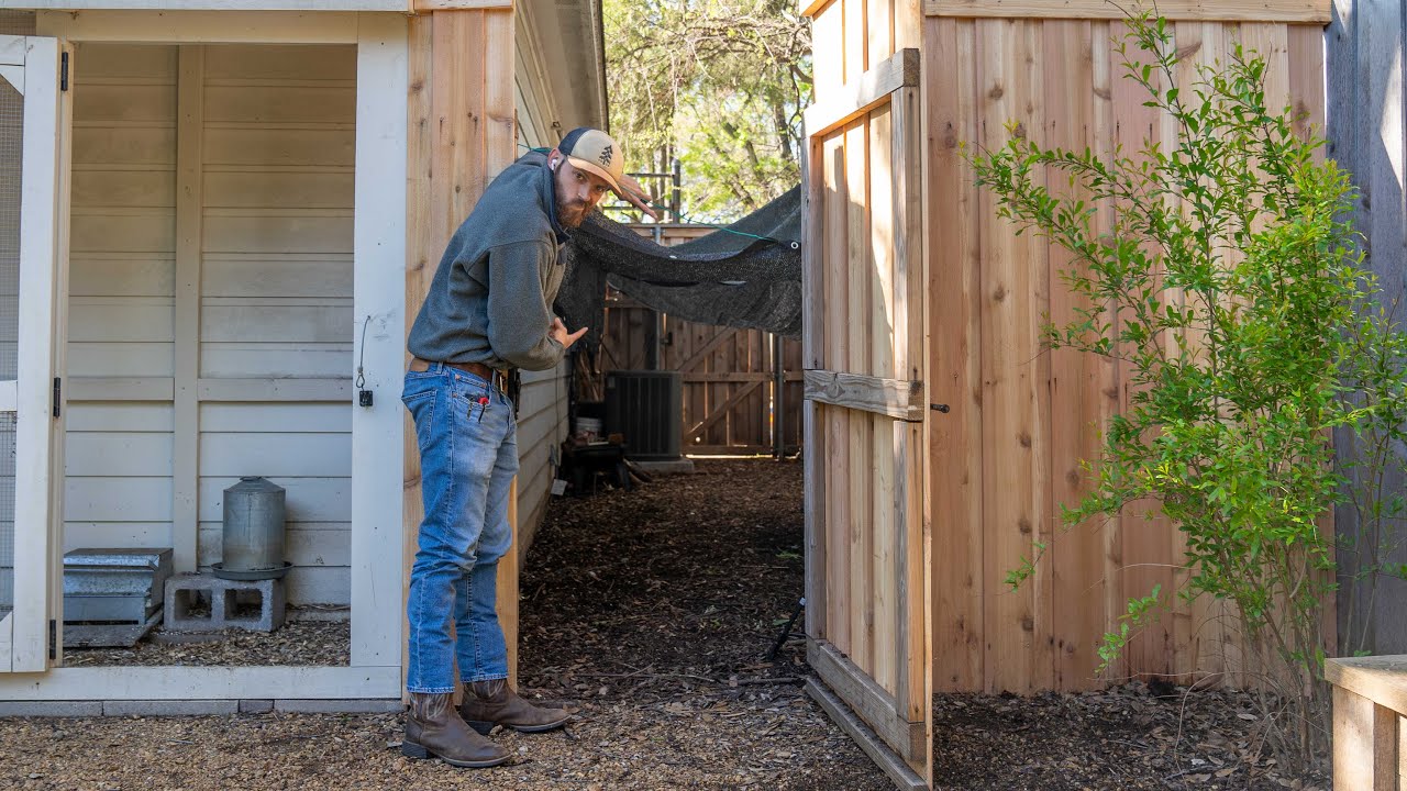 Predator Proof Chicken Run Top