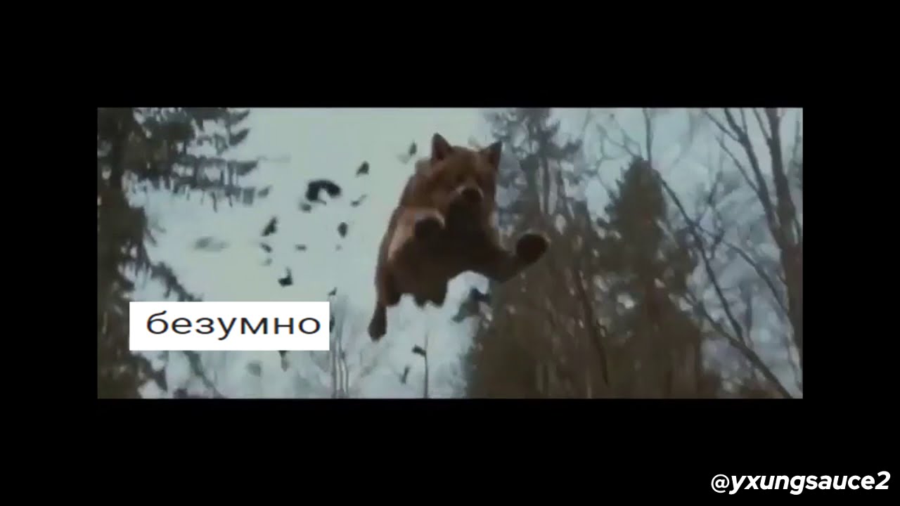 Волк на турнике мем