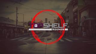 Sad Puppy - Flamakae Baby [Top Shelf Sounds]