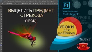 Урок 10 📢  Выделяем стрекозу - Select the dragonfly