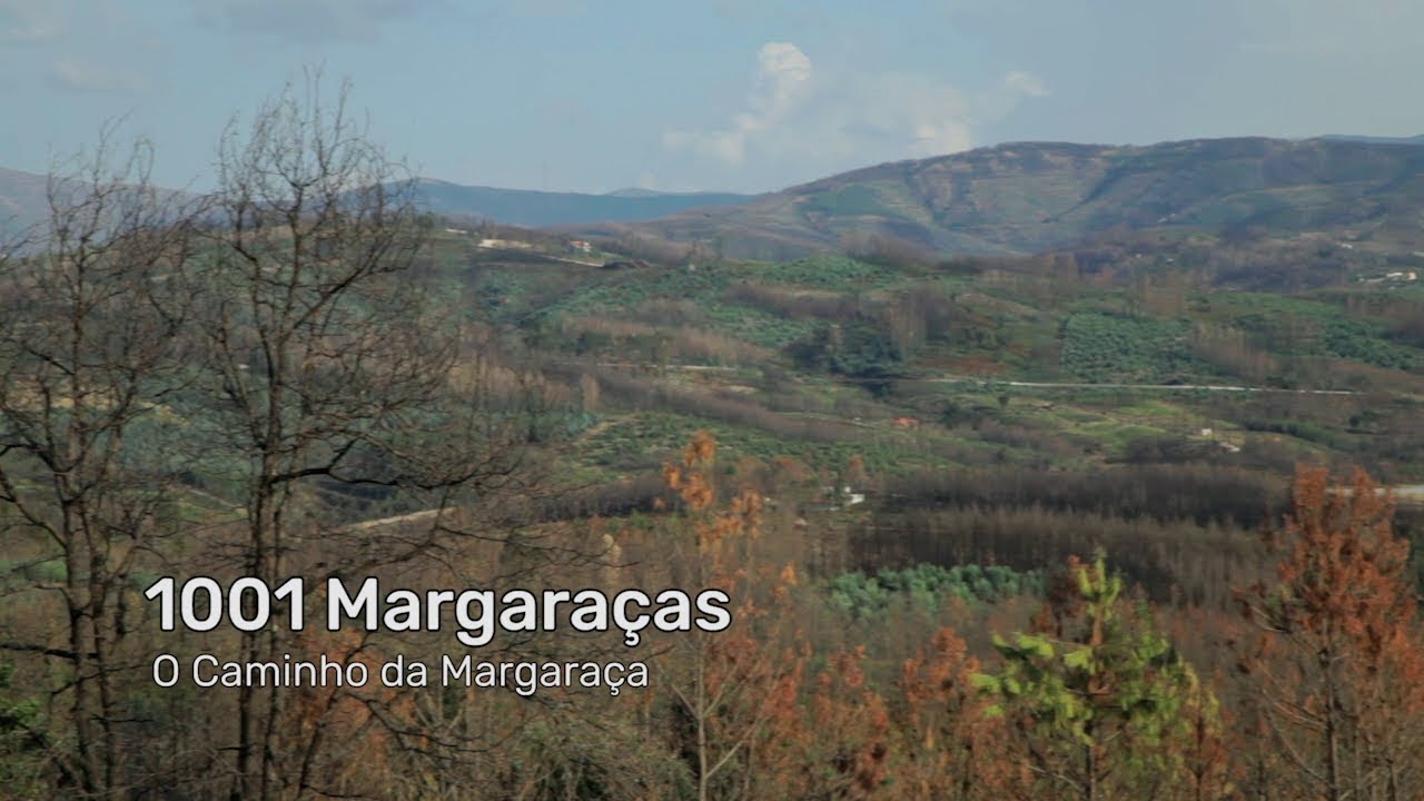 1001 Margaraças - Ep.1 - O Caminho da Margaraça