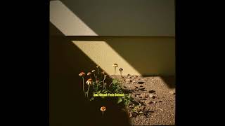 Murat Kırat - Ama Olmadı2025 Şfet Şk