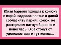 Юная Барыня и Конюх в Сарае! Сборник Свежих Смешных Жизненных Анекдотов!