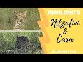 Highlights Ndzutini and Cara Leopardesses 22 Jan 2021