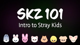 SKZ101: Show this to your non-kpop friend on the way to a Stray Kids concert