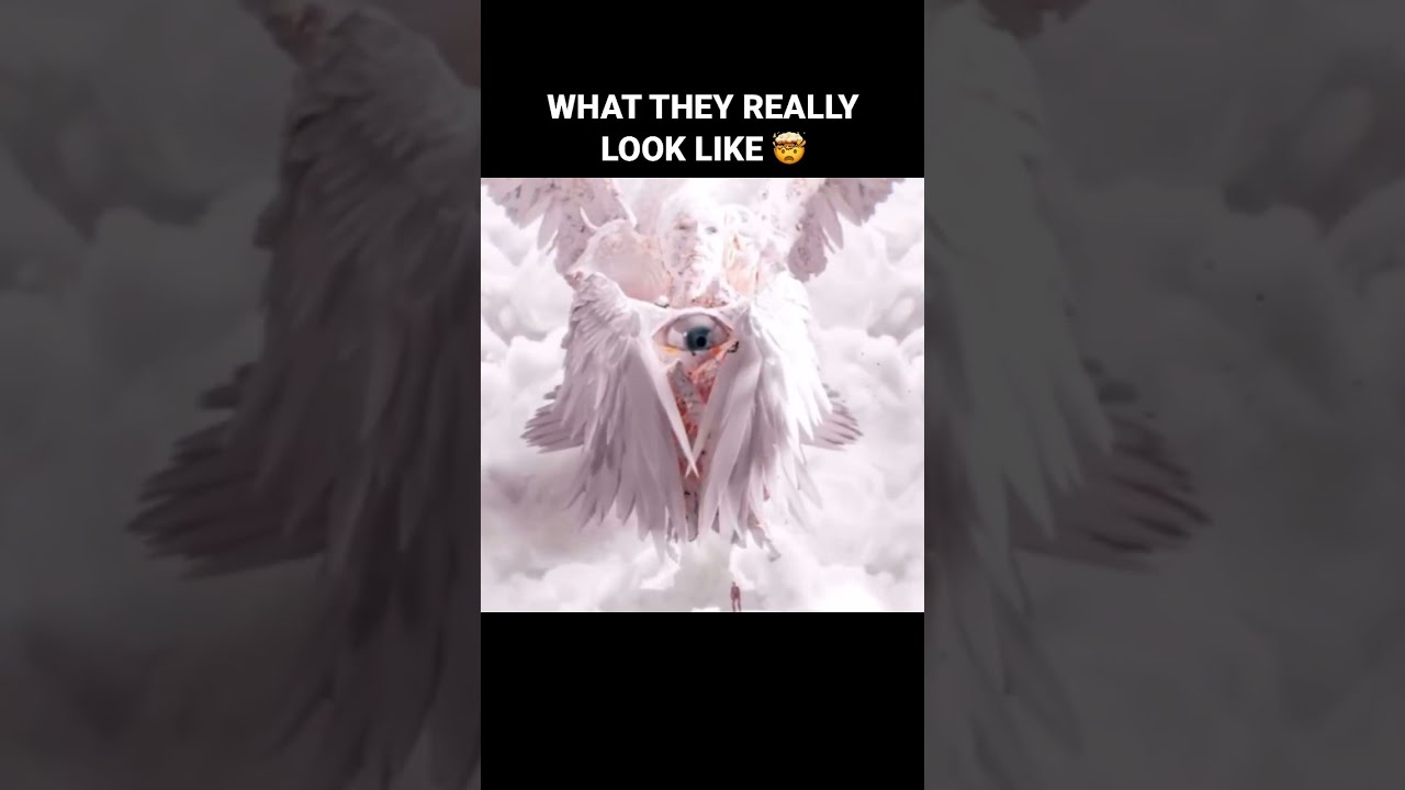 What Angels Really Look Like Fyp Xyzbca