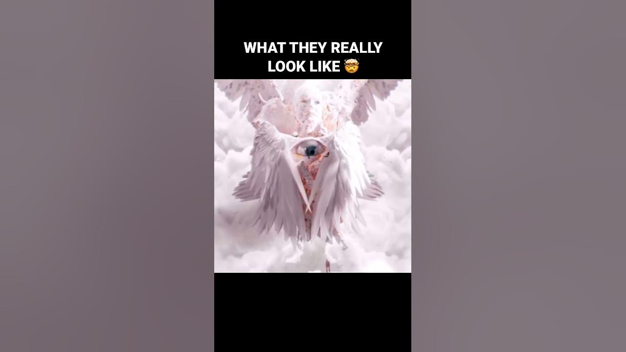 What Angels Really Look Like 🤯 #angels #fyp #xyzbca What Angels Really Look Like 🤯 #angels #fyp #xyzbca