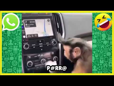 ▶️Apanhando de Mãe e Filha