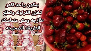 اول حلقات تفريزات رمضان 2022 |  السر في تخزين الفراوله | بمكون واحد بيخليها  تطلع طازجه وغير متجمده