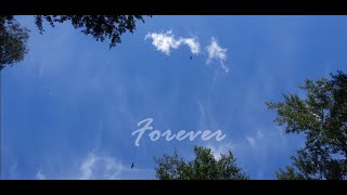 Slfm ~ Forever (Official Lyric Video)