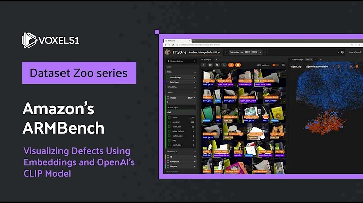 FiftyOne Dataset Zoo: Visualizing Defects in Amazon's ARMBench Using Embeddings and OpenAI's CLIP