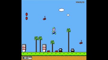 Super Mario Bros. 2 but if I die the video ends