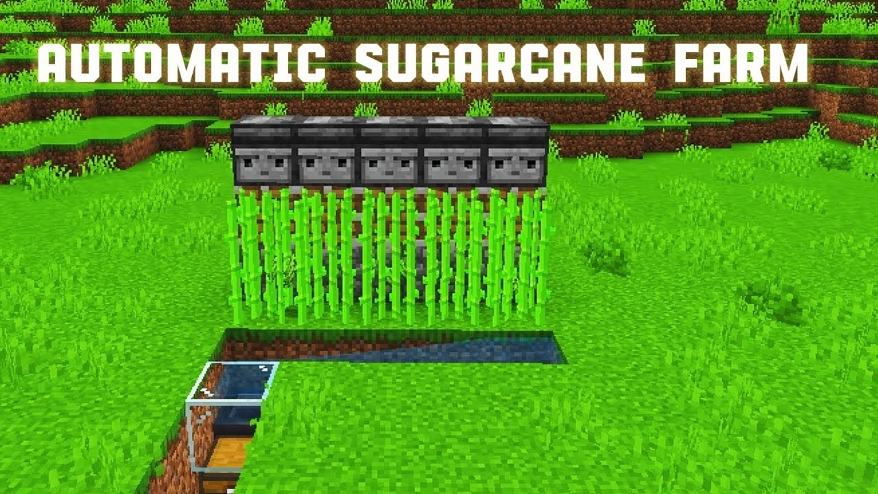 Easy Automatic Sugarcane Farm in Minecraft Bedrock! - YouTube