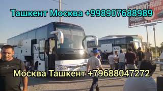 Ташкент Владивосток автобус Ташкент Москва автобус #ташкентмосква