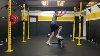 Famous Continuous Split Squat Box Jumps Net Worth