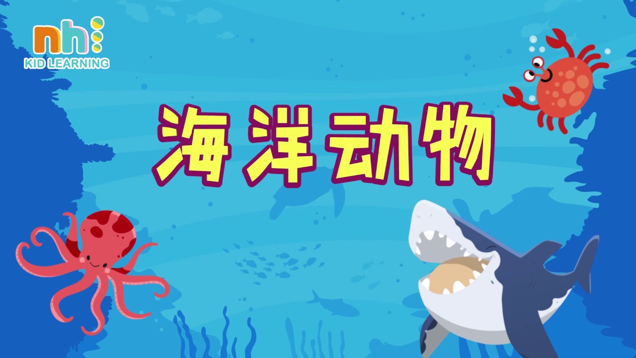 Sing Along Sea Animals Mv 海洋动物mv Youtube