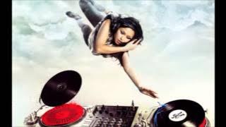 DJ Arctic Moon Vast Vision-Ambrosia ( Remix )