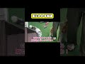 罠にかかる猫達 #猫 #おもしろ #アテレコ #ニャンチューバーつくし