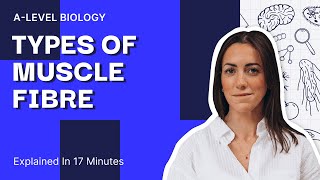 Slow Twitch Vs Fast Twitch Muscle Fibres Explained In 17 Minutes