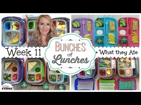 School Lunch Ideas For KIDS + What They Ate | JK, K, 1st Grade, 2nd Grade | BUNCHES Of LUNCHES