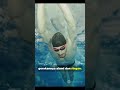 Rahasia Renang Gaya Kupu_kupu khusus untuk Pemula Part 3 | #akuatik #swimming #renang #gayakupukupu