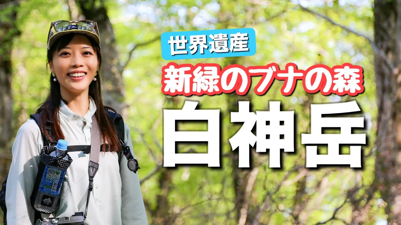 【さすが世界遺産】青森まで行く価値あり！キラキラ輝く新緑と残雪の白神岳に登ってきました